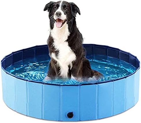 בריכת חיות מחמד מתקפלת לכלבים-בריכת אמבטיה לחיות מחמד, בריכת שחייה ניידת בריכת שכשוך לחיות מחמד לחתולים וילדים כחול